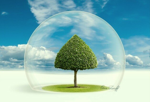 Как сегодня выглядит проект санитарно-защитной зоны.