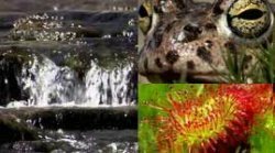 Вода - линия жизни / Water Life - Серия 03 - Там, где рождается вода.